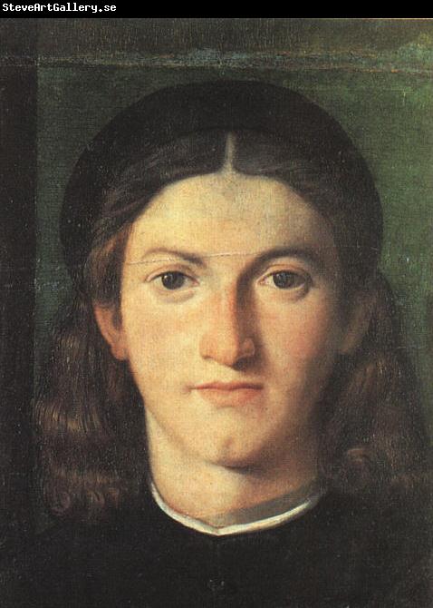 Lorenzo Lotto Head of a Young Man ff